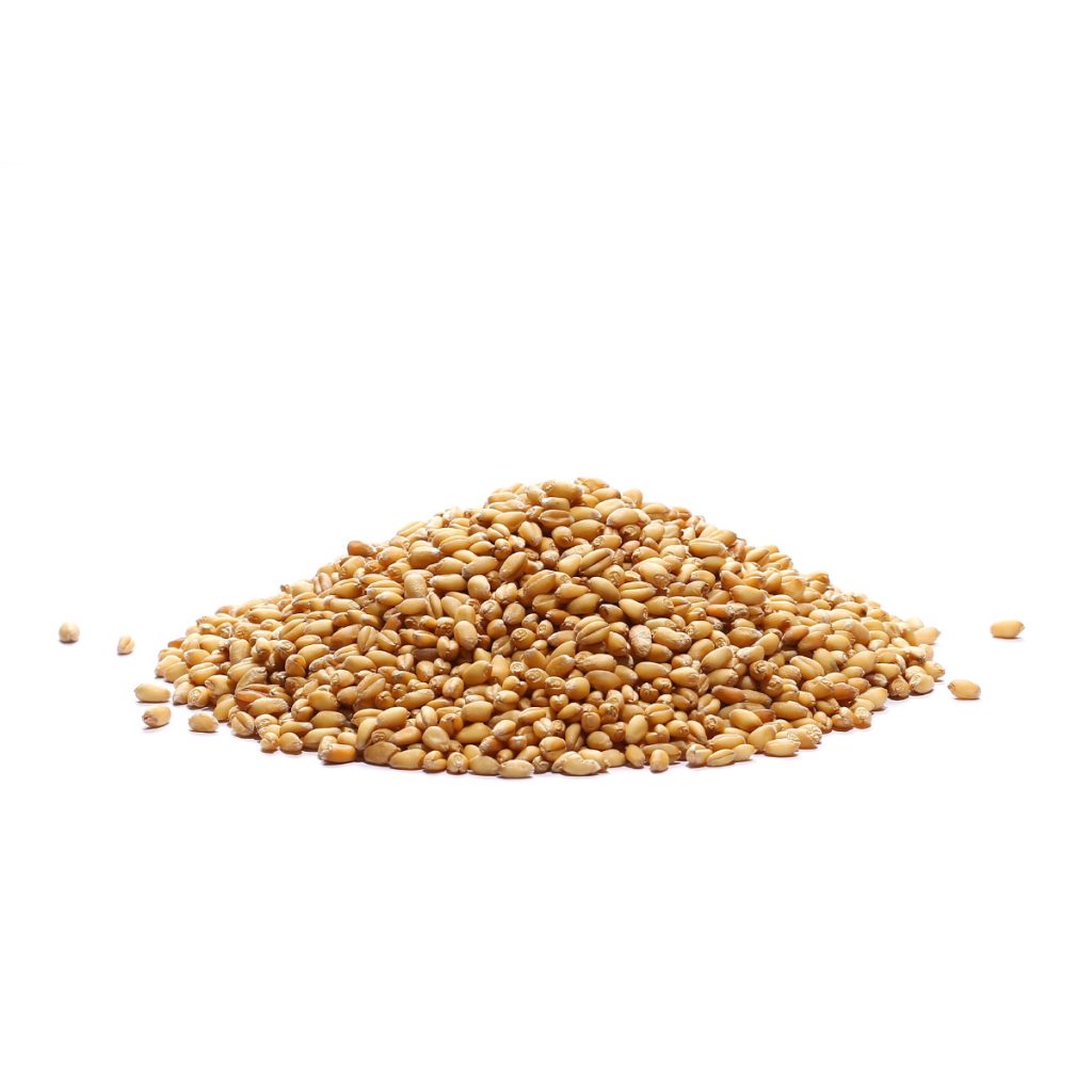 durum-1